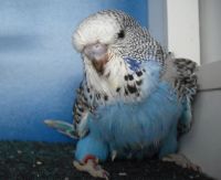 ws-babys2012.011.jpg